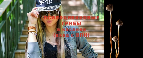 дурь Арсеньев