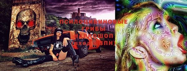 дурь Арсеньев