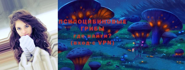 дурь Арсеньев