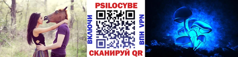 где купить наркоту  Белый  Псилоцибиновые грибы Psilocybine cubensis 